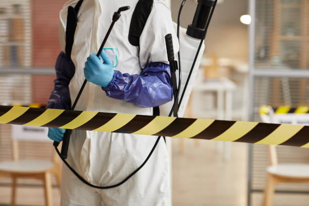 Professional Hoarding Cleanup technician working in Rising Sun, IN